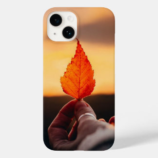iPhone/iPad-fall
