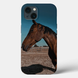 iPhone / iPad-fodral