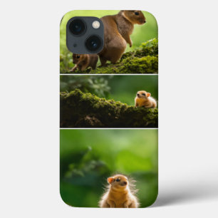 iPhone / iPad-fodral