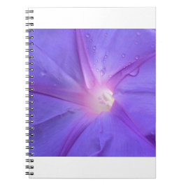 ipomée anteckningsbok