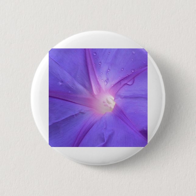 ipomée knapp (Framsida)