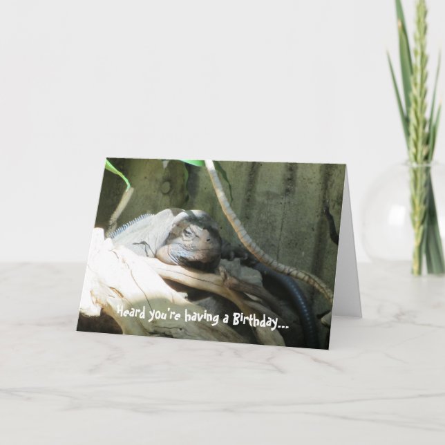 Iquana födelsedagönskemål kort (Framsida)