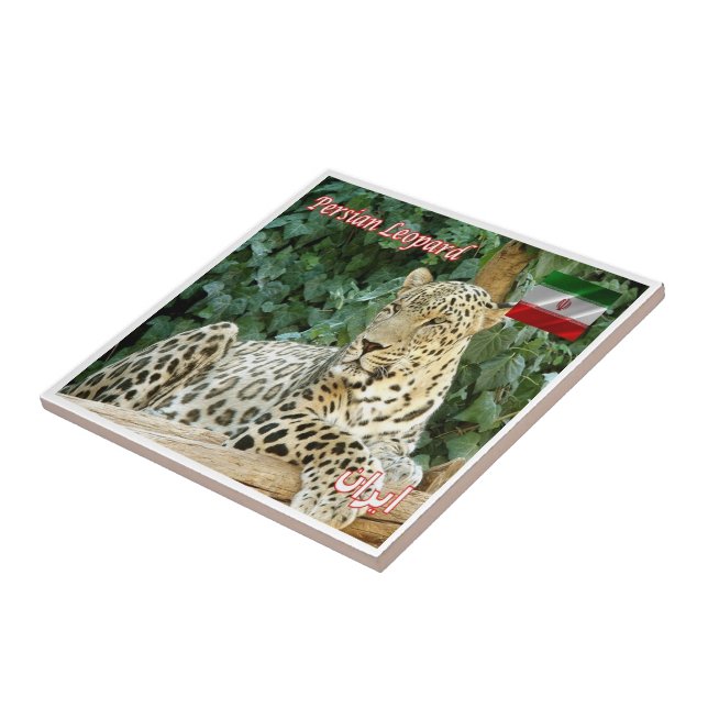 IR006 PERSIAN LEOPARD, Iran, Asien, Kakelplatta (Sidan)