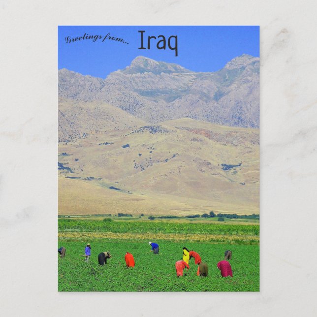 Irakiska kurdiska bybor i Irak Vykort (Framsida)