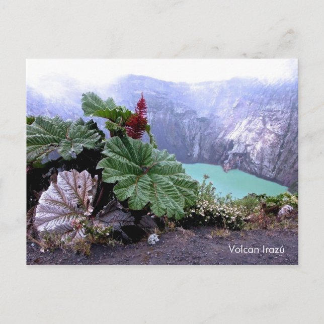Irazu Volcano Vykort (Framsida)