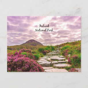 Ireland Nationalpark Vykort