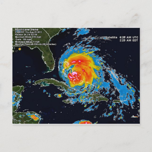 IRENE VYKORT (Framsida)