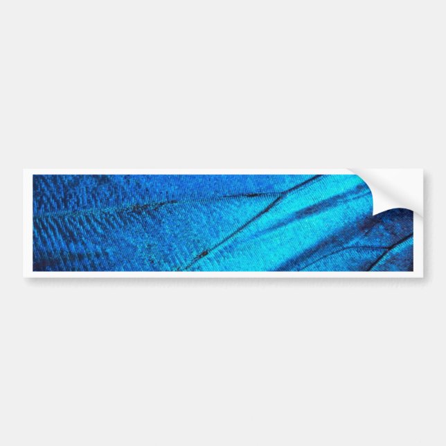 Iridescent Blue Butterfly Vinge Bildekal (Framsidan)