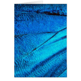 Iridescent Blue Butterfly Vinge Hälsningskort