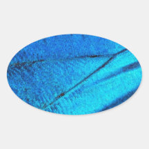 Iridescent Blue Butterfly Vinge