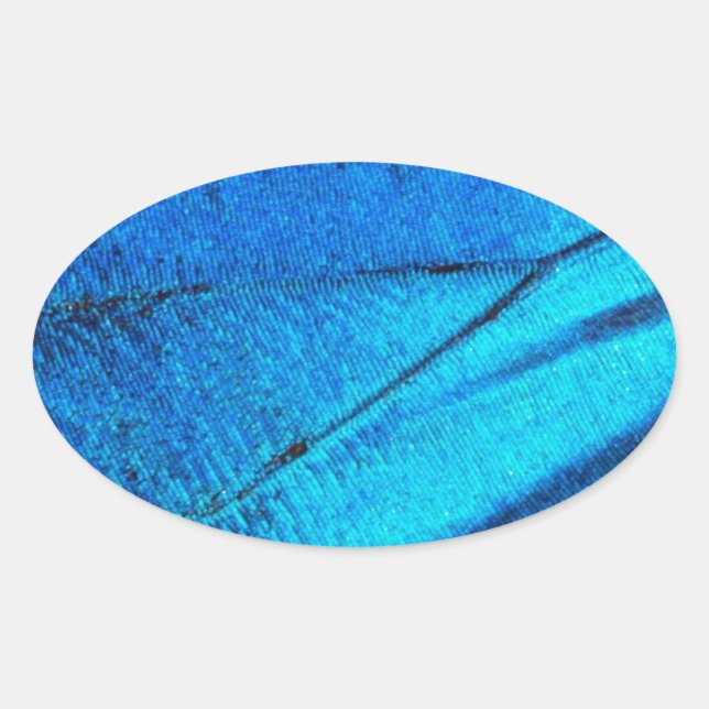 Iridescent Blue Butterfly Vinge Ovalt Klistermärke (Framsida)