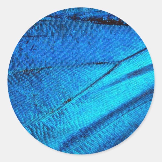 Iridescent Blue Butterfly Vinge Runt Klistermärke (Framsida)