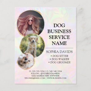 Iridescent Faux HoloGrapWalker Pet Sitta Flygblad