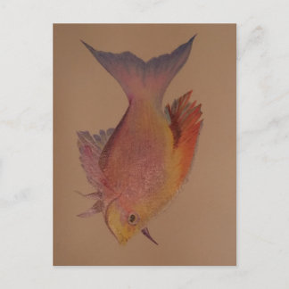 Iridescent Fish Vykort