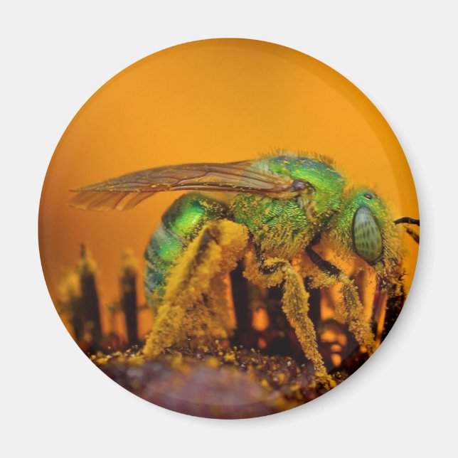 Iridescent Grönt Sweat Bees Magnet (Framsidan)