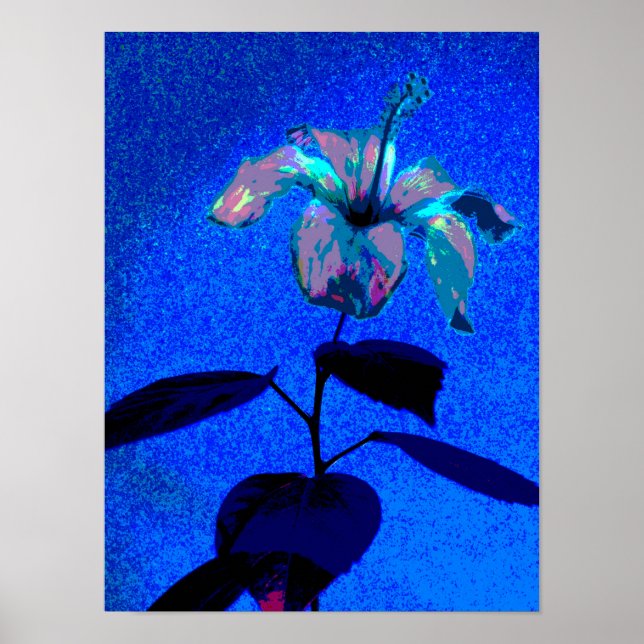 Iridescent Hibiscus Bloom Blue Rosa Poster (Framsidan)
