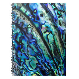 Iridescent Paua Abalone-Snäcka bärbar dator Anteckningsbok