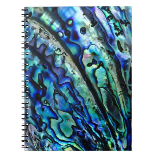 Iridescent Paua Abalone-Snäcka bärbar dator Anteckningsbok (Framsidan)