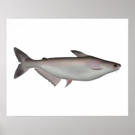Iridescent Shark Poster