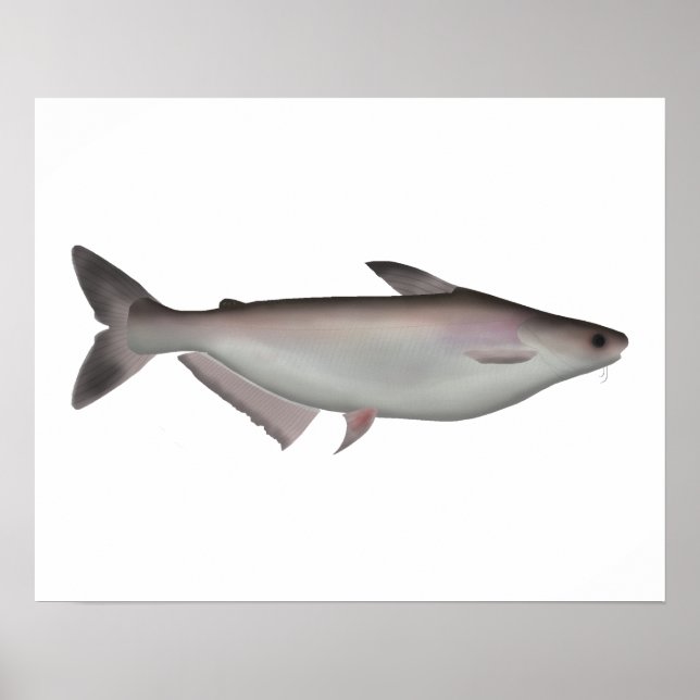 Iridescent Shark Poster (Framsidan)