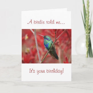 Iridescent Shine Kort