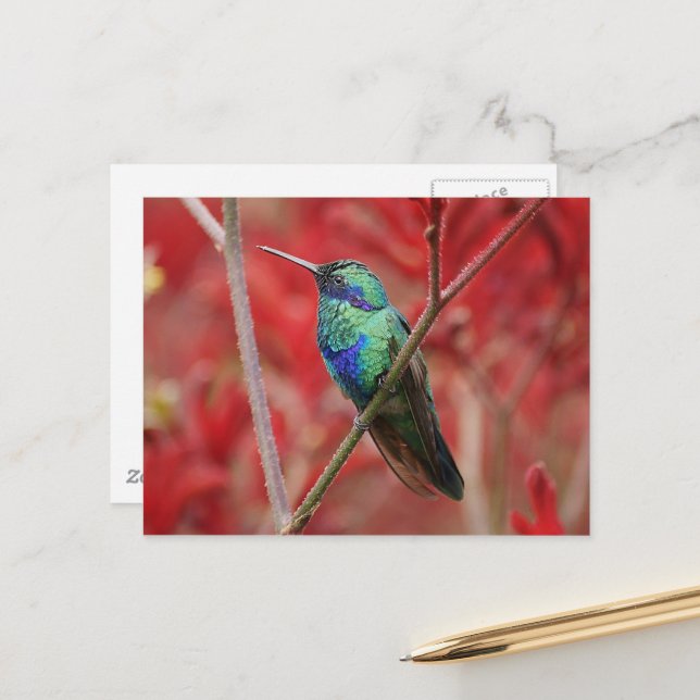 Iridescent Shine Vykort (Fram/Back In Situ)