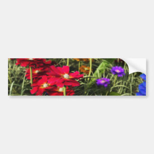 Iridescent Vår Bumper Sticker Bildekal