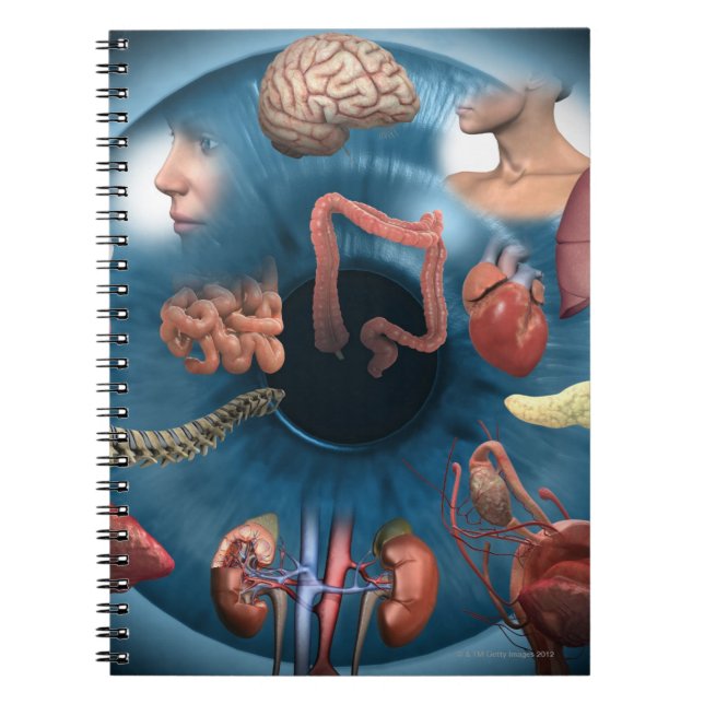 Iridologi Anteckningsbok Med Spiral (Framsidan)