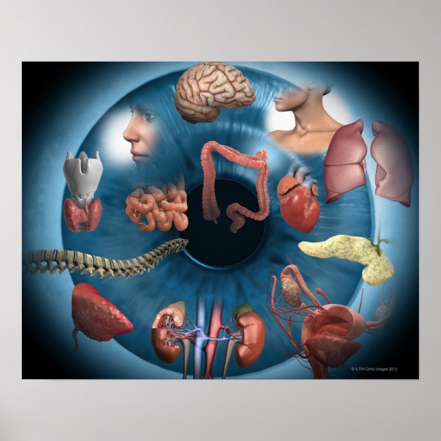 Iridologi Poster (Framsidan)