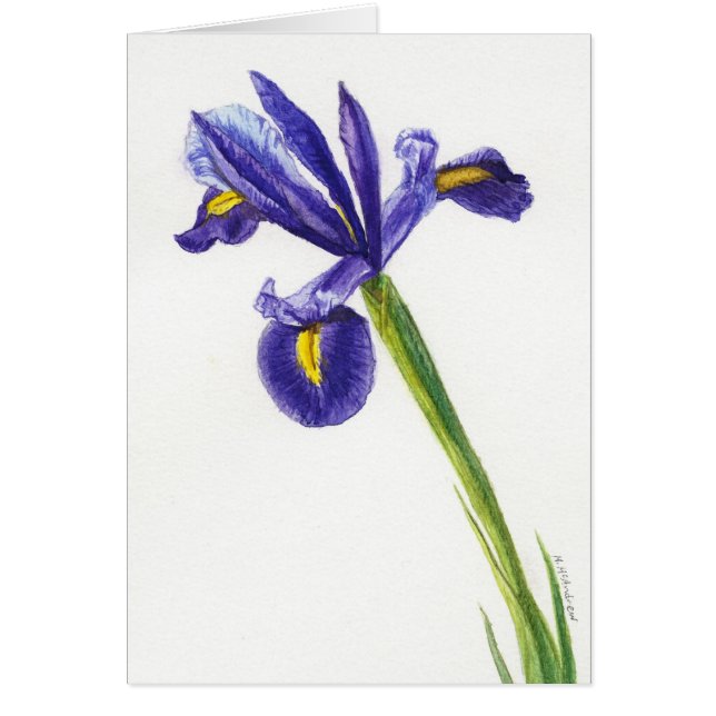 "Iris 2", Hälsningskort (Framsidan)