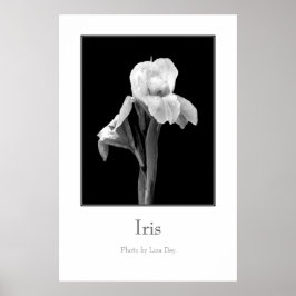 'Iris' Affisch