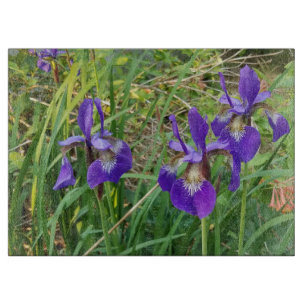 Iris Älskare BITinlning, Backsplash Wall Art