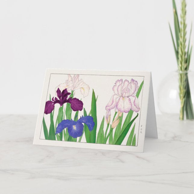 Iris av Tanigami Konan Kort (Framsida)