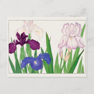 Iris av Tanigami Konan Vykort