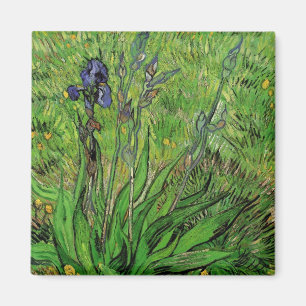 Iris av Vincent van Gogh, Vintage trädgårdsblommor Magnet