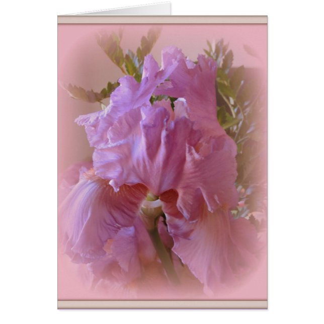 Iris Beauty Hälsningskort (Framsidan)