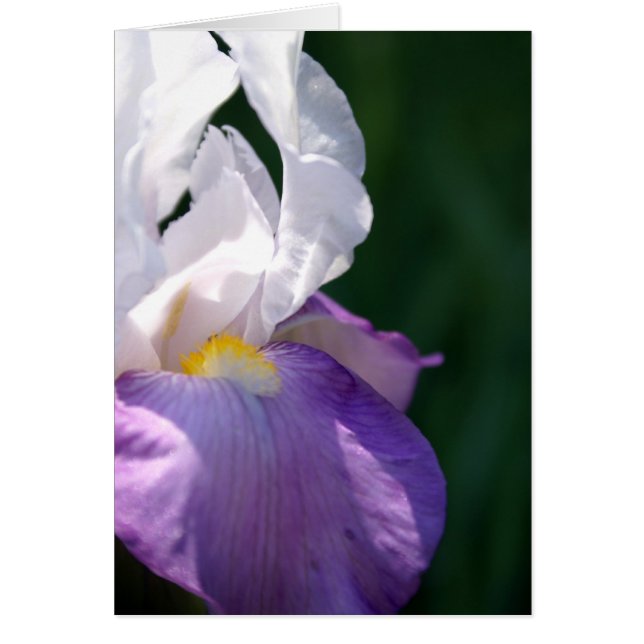 Iris Beauty Hälsningskort (Framsidan)