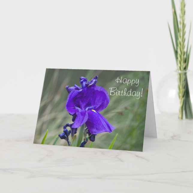 Iris Birthday Card Kort (Framsida)