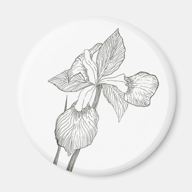 Iris bläck magnet (Framsidan)