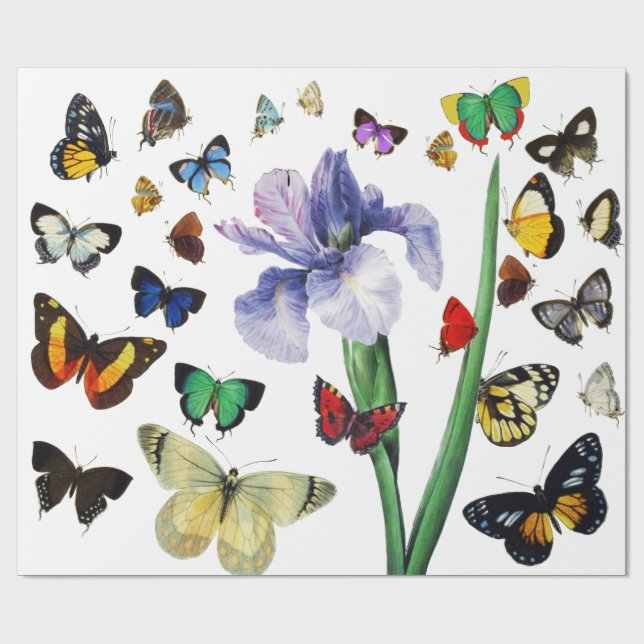 IRIS BLAND FÄRGBUTTERFLIES Vit Blommigt Presentpapper (Platt)