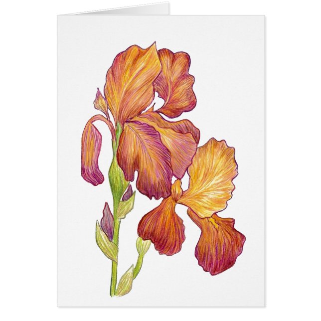 Iris blank inbyggt kort (Framsidan)