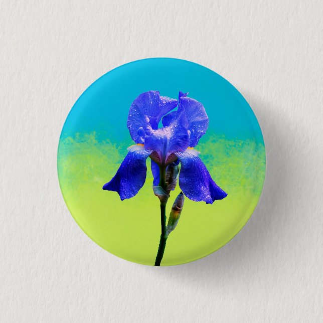 Iris-blomma Knapp (Framsida)