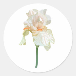 Iris-blomma, vibranta beige-petaler. runt klistermärke