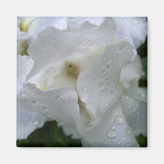 Iris blommagnet magnet