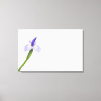 Iris-blomman.