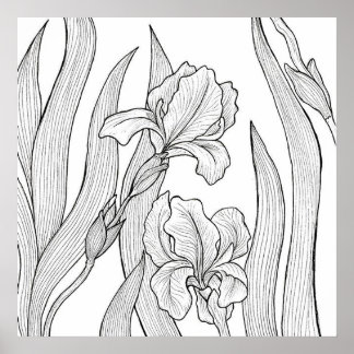Iris-blomman designad med svart bläck poster