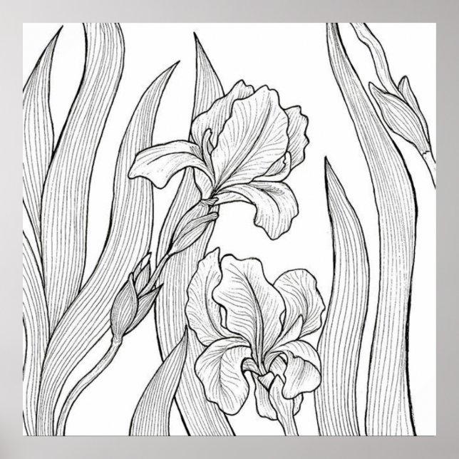 Iris-blomman designad med svart bläck poster (Framsidan)