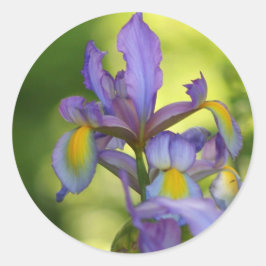 Iris-blomman Stickers Runt Klistermärke