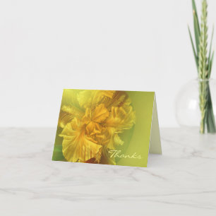 Iris-blomman, tack vare kort för målad gult