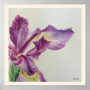 Iris Blommigt Art-utskrift som är lämplig för Fram Poster
